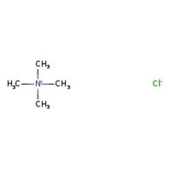Tetramethylammonium chloride, 250G