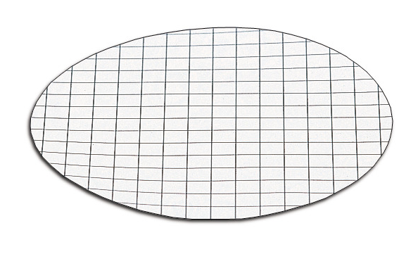 Filters Membrane 0.45um 47mm CN Wht with Blk Grid NS Pk 100