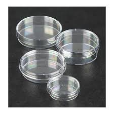 Greiner Petri Dish 145mm Tv