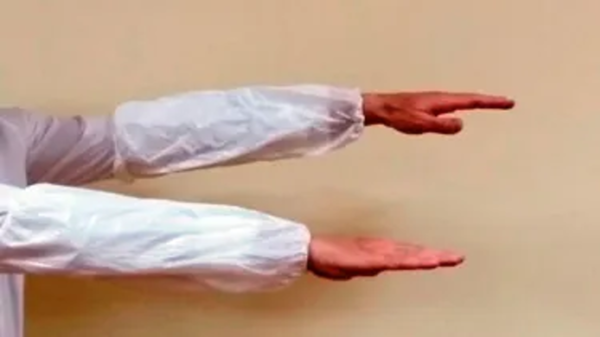 Sleeves. Description: White, with elastic on